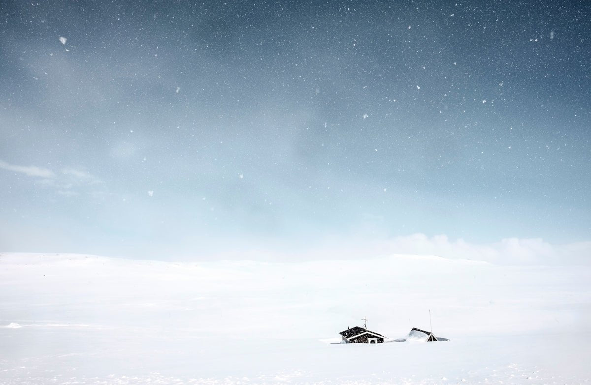 Alvar: Exploring the Mysterious Allure and Battle-Ready Spirit of this Norse Name - Oli Prik Copenhagen