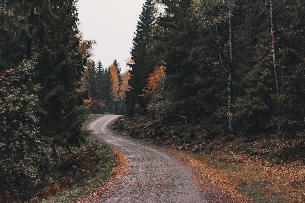 Halfdan: Explores the Dual Nature and Nordic Adventurous Spirit - Oli Prik Copenhagen
