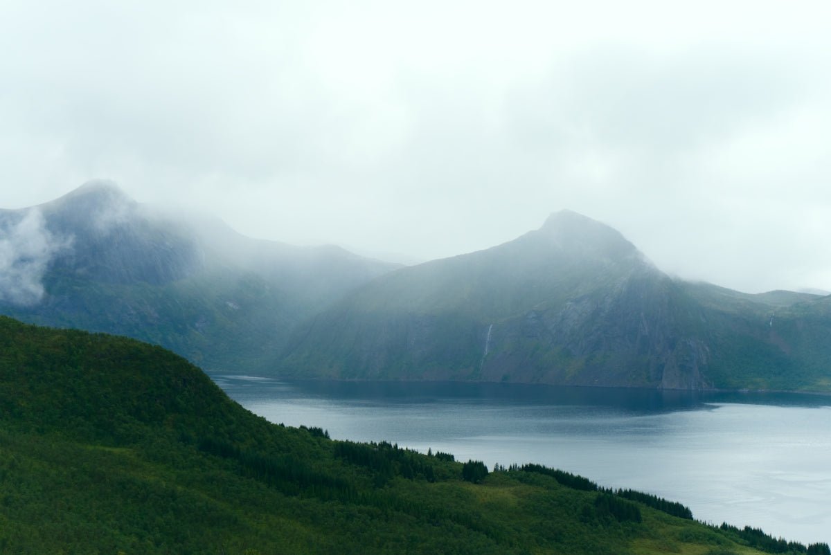Leif: The Adventurous Journey Behind This Legendary Nordic Name - Oli Prik Copenhagen